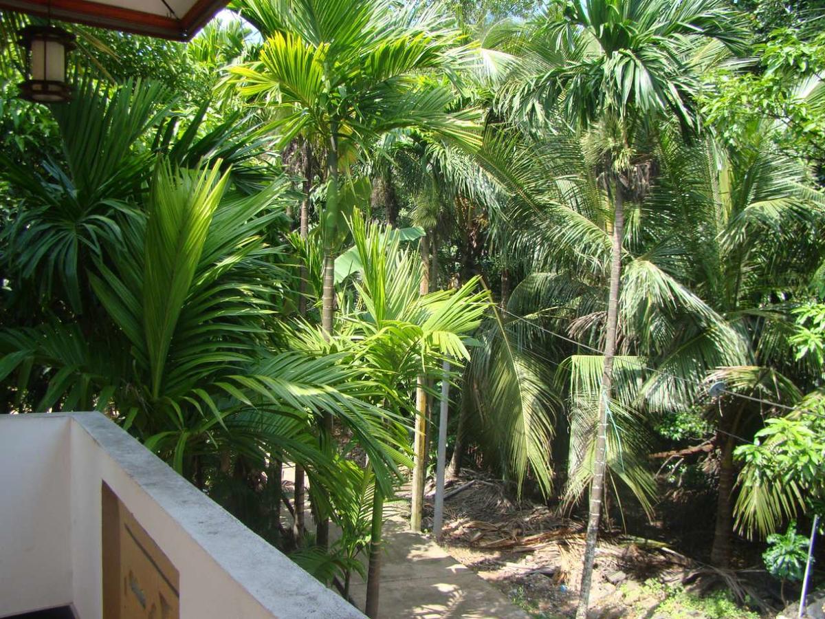 Moragalla Dilu Villa Beruwala Exterior foto
